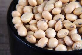 Soya bean